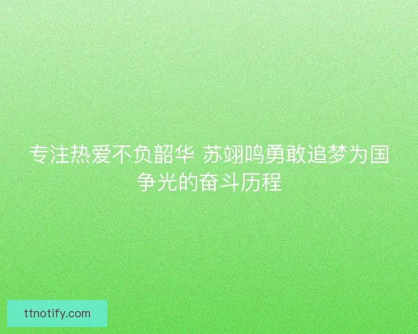 专注热爱不负韶华 苏翊鸣勇敢追梦为国争光的奋斗历程